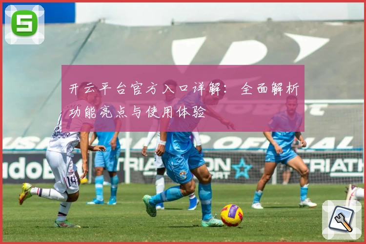 开云平台官方入口详解：全面解析功能亮点与使用体验