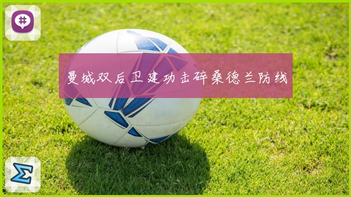 曼城双后卫建功击碎桑德兰防线